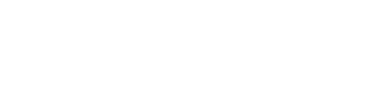 Almdudler