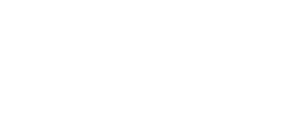 DER HACKER